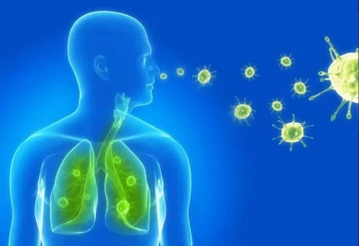 Influenza-and-Biomagnetism