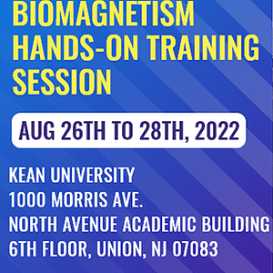 Biomagnetism-Hands-on-August-2022