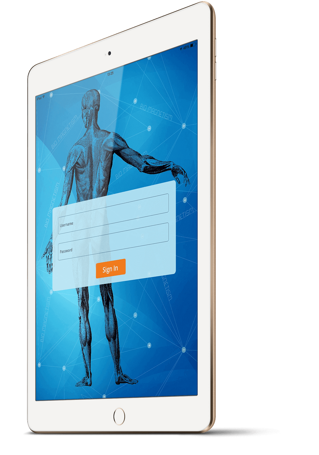 BeyondBiomag-3D-App